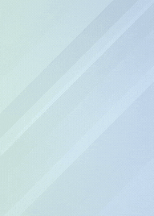 NIKIE AIR MAX (500 x 700 px)